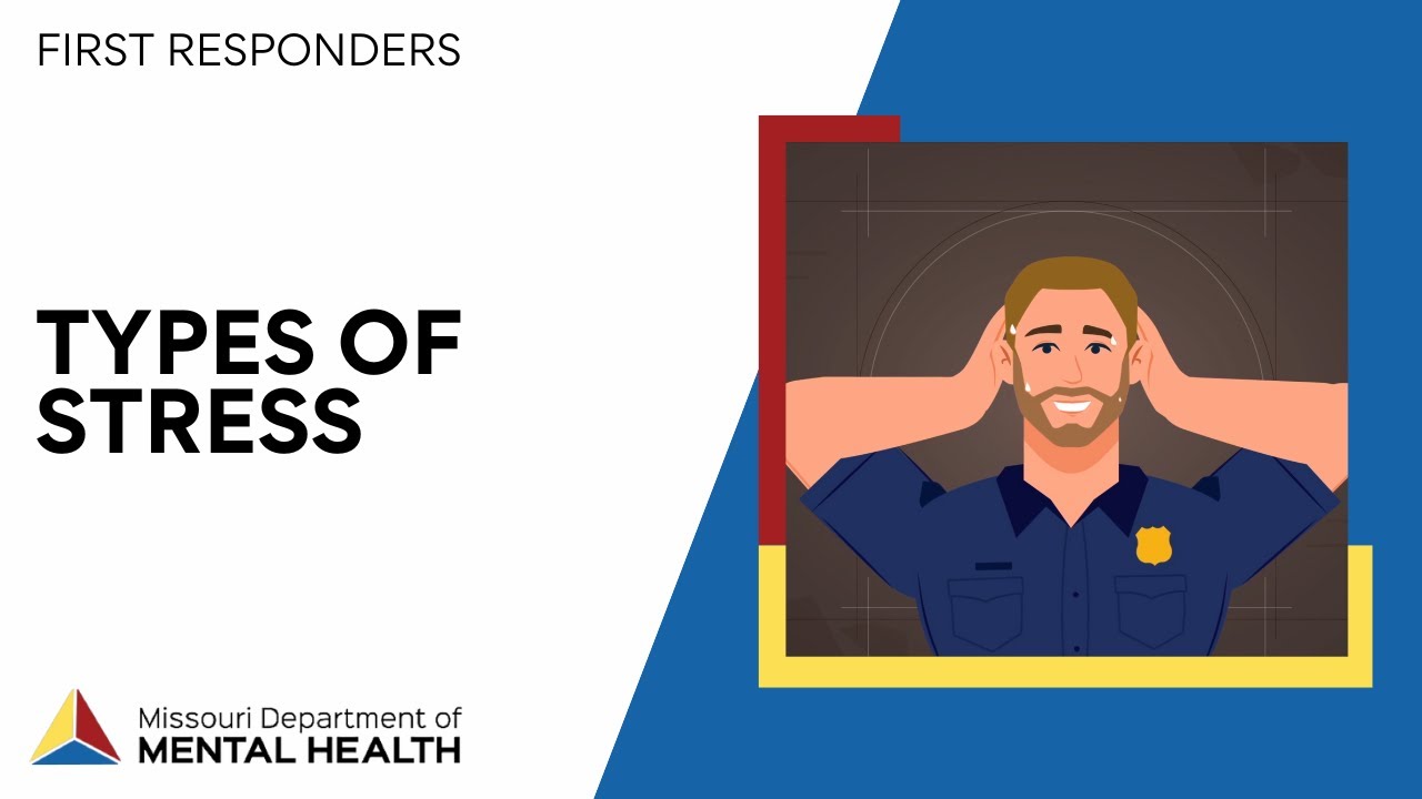 Final Responders: Types of Stress